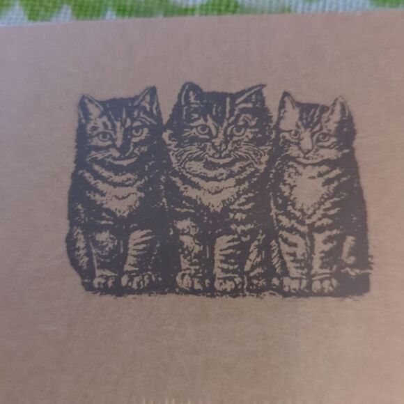 ‎Nature Notes kitty cat stationary set nwt - Picture 5 of 5